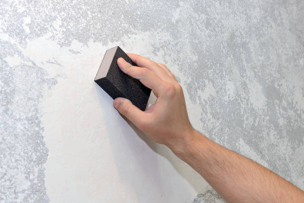 Best Mold Remediation for Healthcare Facilities  in Hapeville, GA