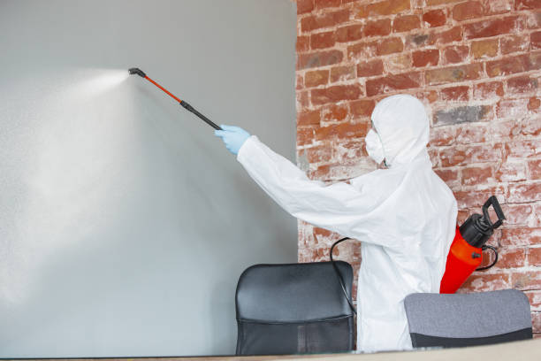 Best Industrial Mold Remediation  in Hapeville, GA