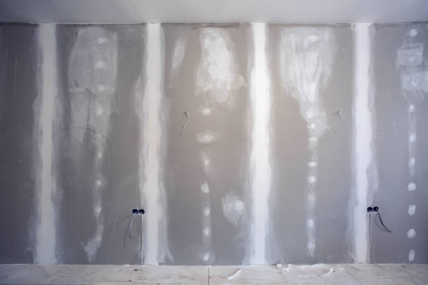 Best Post-Construction Mold Inspection  in Hapeville, GA